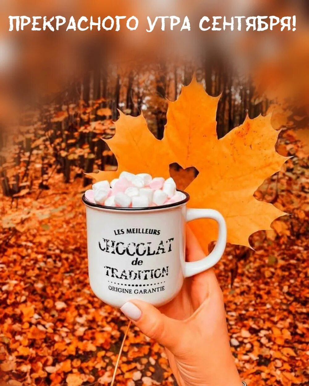 Приколы с добрым утром геймер. Утро 2 сентября. Ну что ребятки. Сентябрь природа. Светлого осеннего утра.