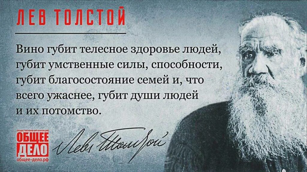 Мой лев толстой одноклассники. Лев Николаевич толстой про алкоголь. Толстой цитаты. Цитаты Льва Толстого. Толстой о пьянстве.