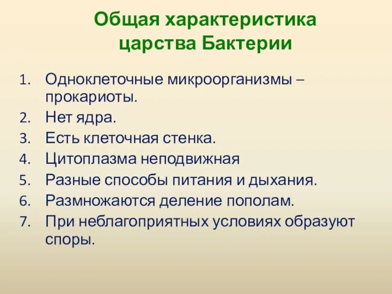 Общие свойства бактерий. Характеристика царства бактерий. Общие признаки царства бактерий. Царство бактерии общая характеристика. Характеристика царства бак.