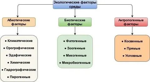 Схема экологические факторы с примерами