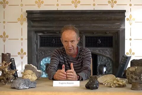 История дворца кунин