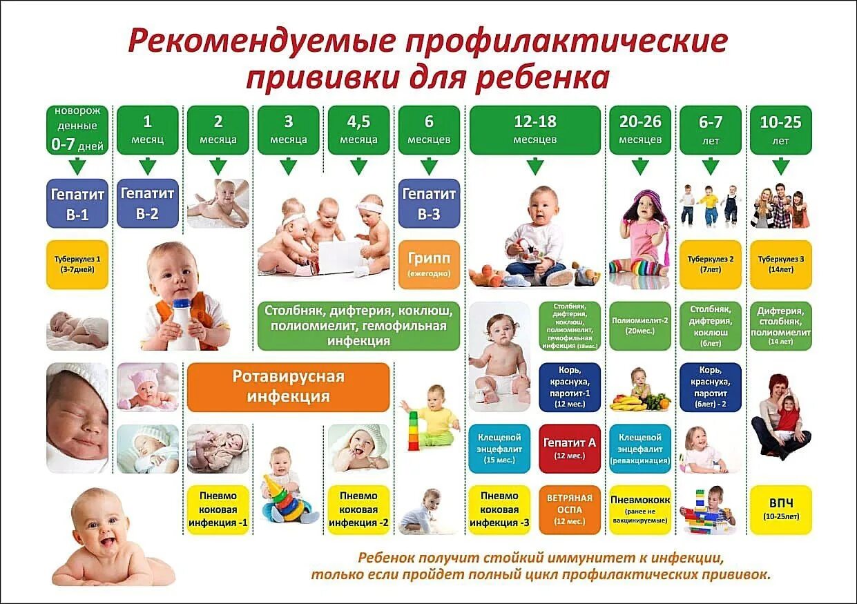 Вакцина в 1 год. Иммунизация календарь прививок. Календарь профилактических прививок до 1 года. Календарь прививок с вакцинами. Вакцинопрофилактика календарь прививок.