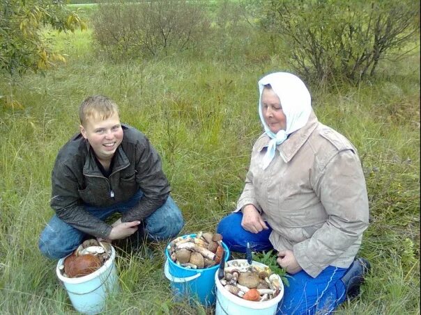 Подслушано в некоузе в контакте. Село Некоуз. Новый Некоуз Ярославская область. Село новый Некоуз. Новый Некоуз население.