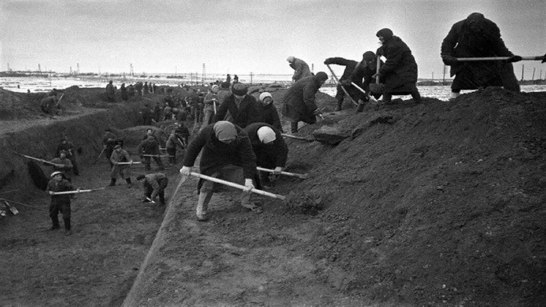 Строительство оборонительных рубежей. Противотанковый ров 1941. Строительство оборонительных рубежей. Население сталинграда в 1942. Сурский оборонительный рубеж 1941.