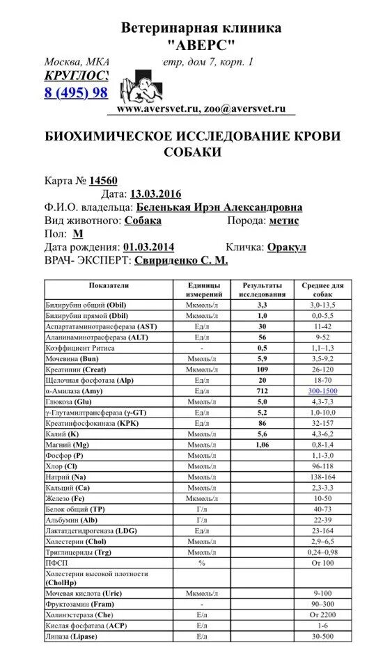 Норма сахара в крови у собак. Общий анализ крови у собак. Биохимическое исследование крови у собаки. Результаты общего крови собаки. Общий белок в крови у собаки.