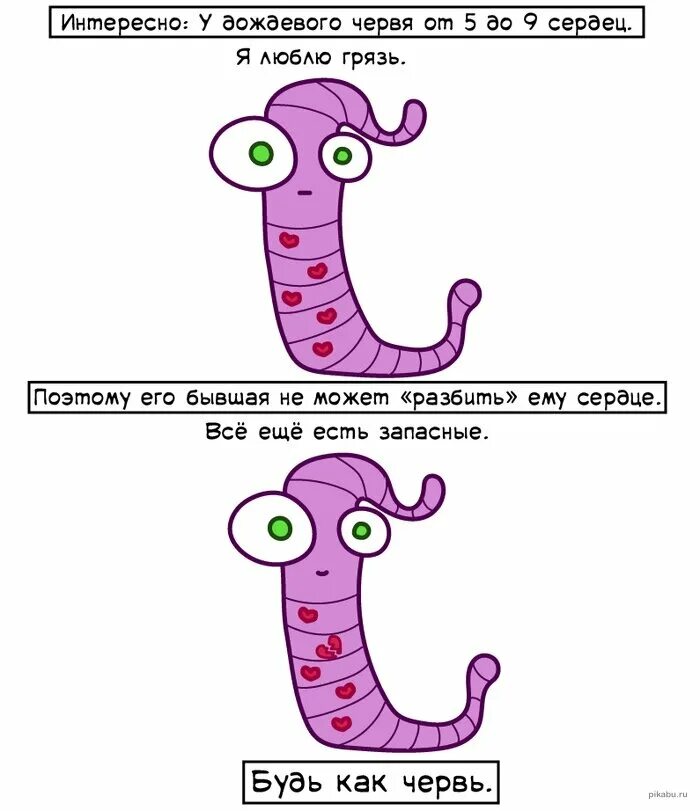 Если бы я была червем