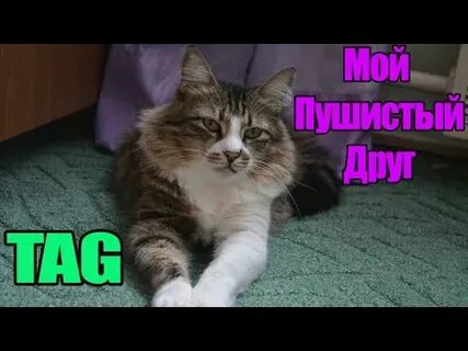Пушистый рай дата выхода серий