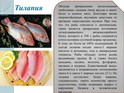 Окунь польза и вред для организма