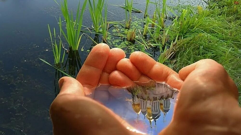Природа в моей жизни это. Природа в моей жизни это