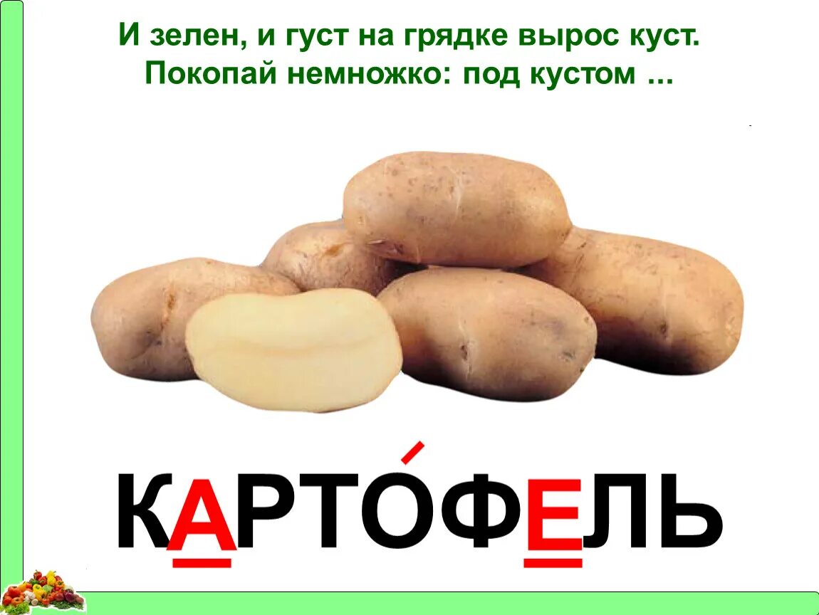 Подбери к слову картофель