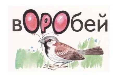 Воробей ворона заяц корова