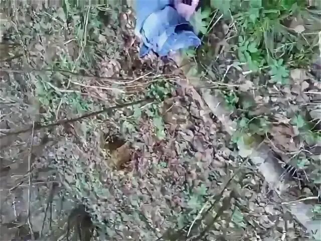 Я попав в тиски беды
