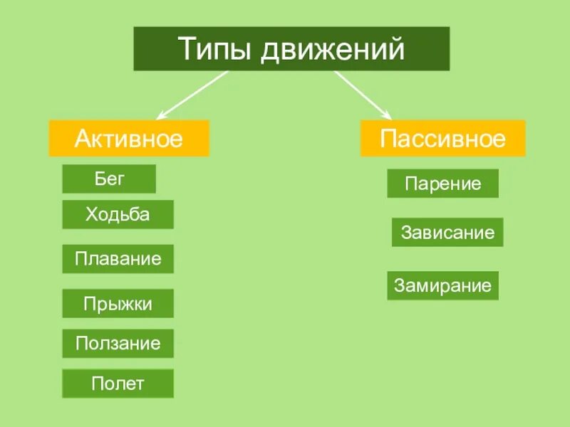 Какие люди есть пассивные. Виды движений человека. Способы передвижения человека. Способ и Тип передвижения животных. Активные виды передвижения.