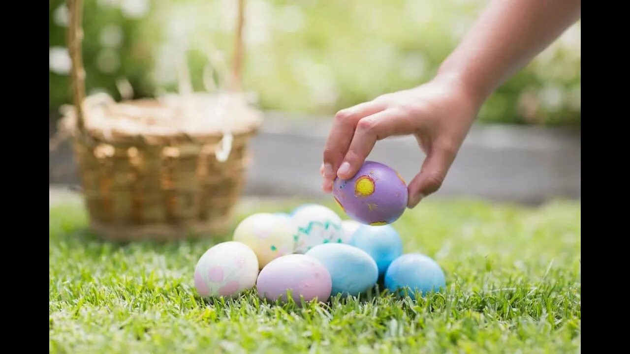 Пасха во вьетнаме. Easter egg 2024. Easter egg 2024. Easter egg 2024. Easter egg 2024.