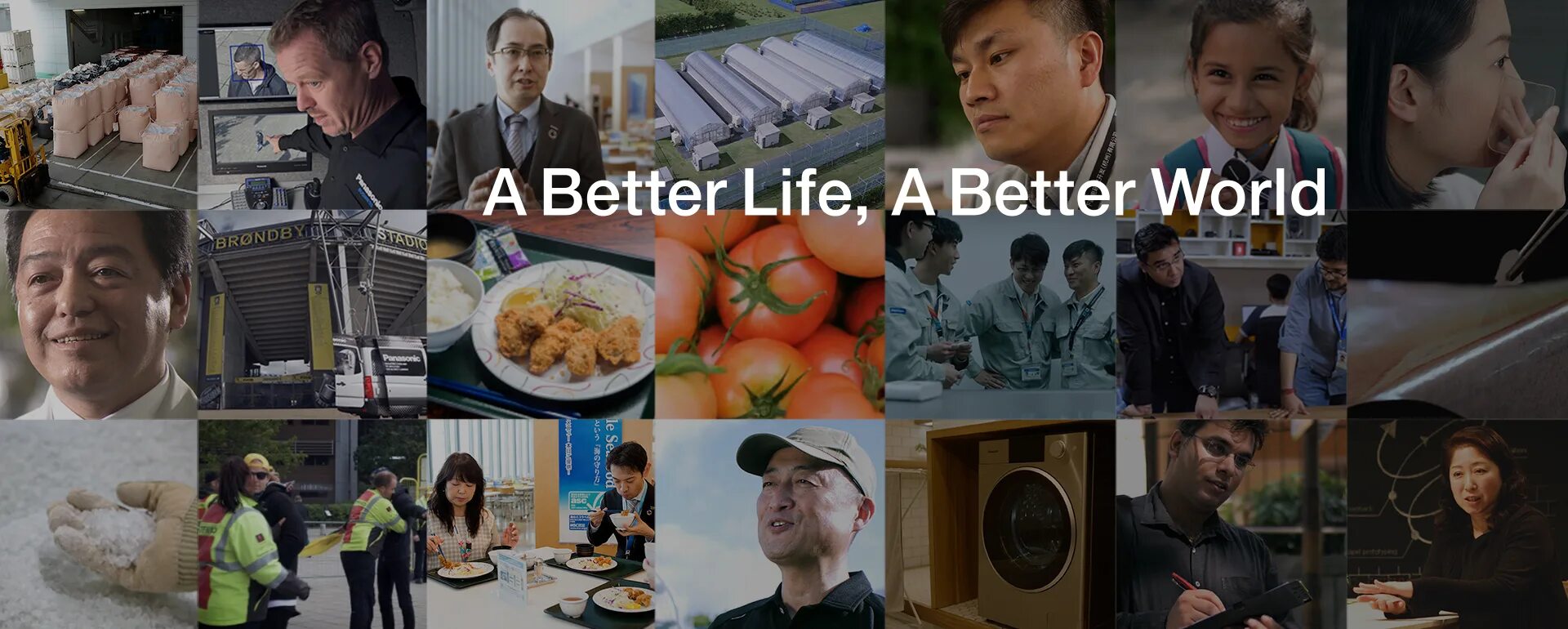 A better life a better world. Outside world. A better life a better world. Brand new life. Растение под солнцем.