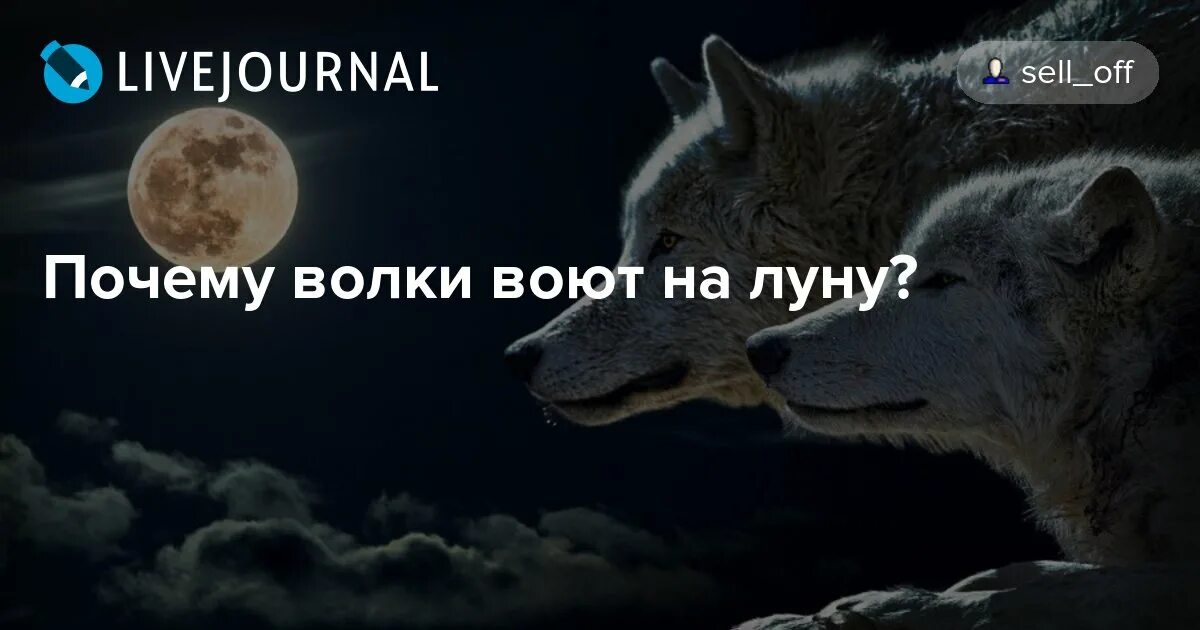 Почему выл
