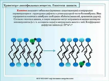 Уро кинка