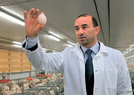 Евро дон