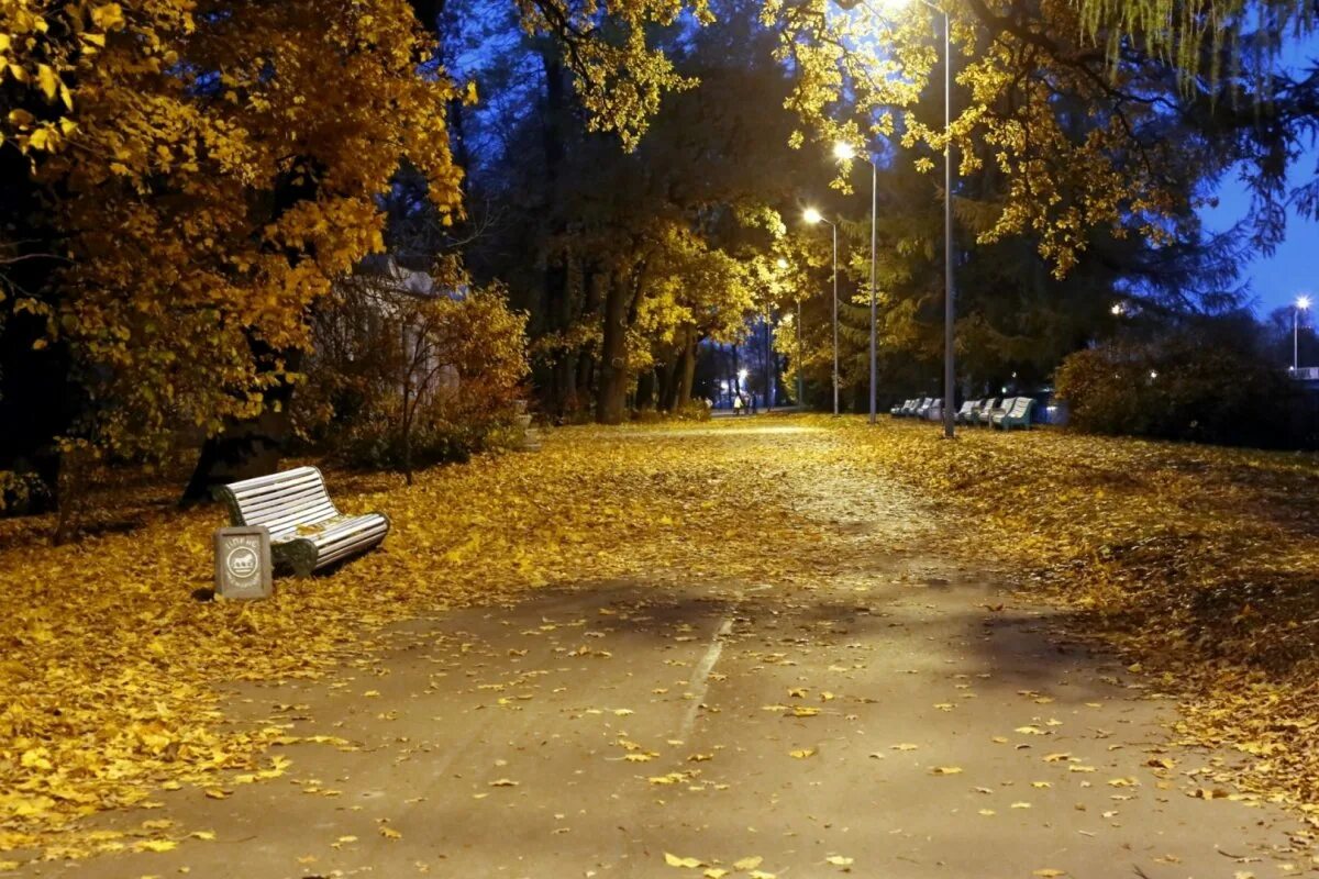 Осень парк ночь. Осенний парк вечером. Парк осенью ночь. Осень вечер парк. Однажды осенним вечером