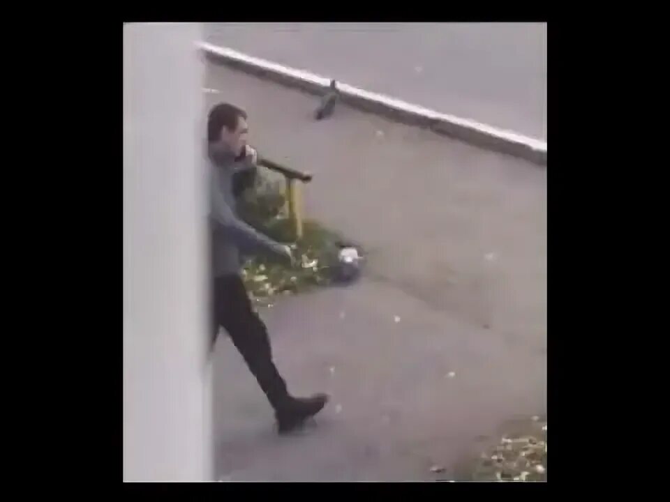 Буйные головы сечь. Пика черный дельфин кино. Буйные головы сечь. Небо славян. Поющее ядро и константин кинчев - небо славян.