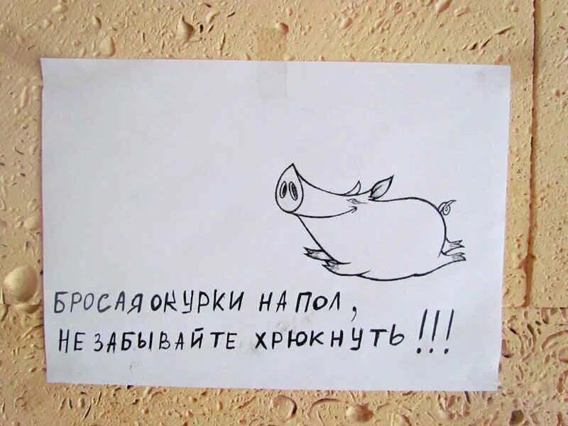 Он сердито швырнул окурок зашипевший в луже. Не забывайте хрюкнуть. бросил окурок не забудь хрюкнуть. убирайте окурки за собой. не бросать окурки.