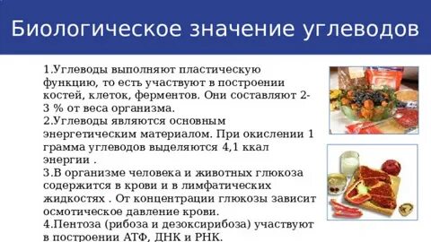 Пластическая роль углеводов