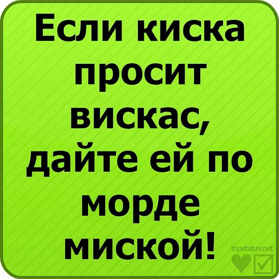 Мама просит киску. Topstatus. Net Угарные картинки. Киска киска где твоя миска. Вискас логотип.