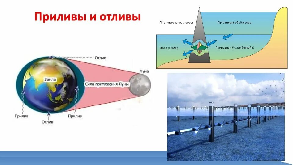 Почему происходят приливы и отливы. Фазы прилива и отлива. Прилив и отлив солнце и Луна. Фазы Луны приливы и отливы. Зависимость приливов и отливов от фазы Луны.