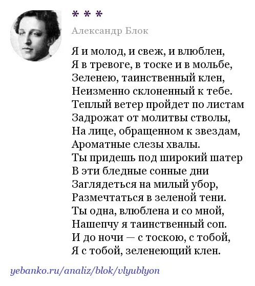 Я И молод и свеж и влюблен блок. Блок стихи я и молод и свеж и влюблен. Я молод и свеж. Анализ стихотворения блока вхожу я в темные