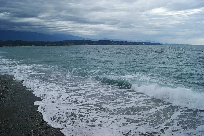 Погода в пицунде вода в море. Пицундская бухта Абхазия. Пицунда море. Золотая бухта Абхазия Пицунда. Пицунда море весной.