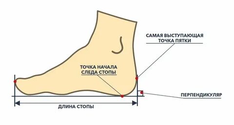 Как правильно замерить шип