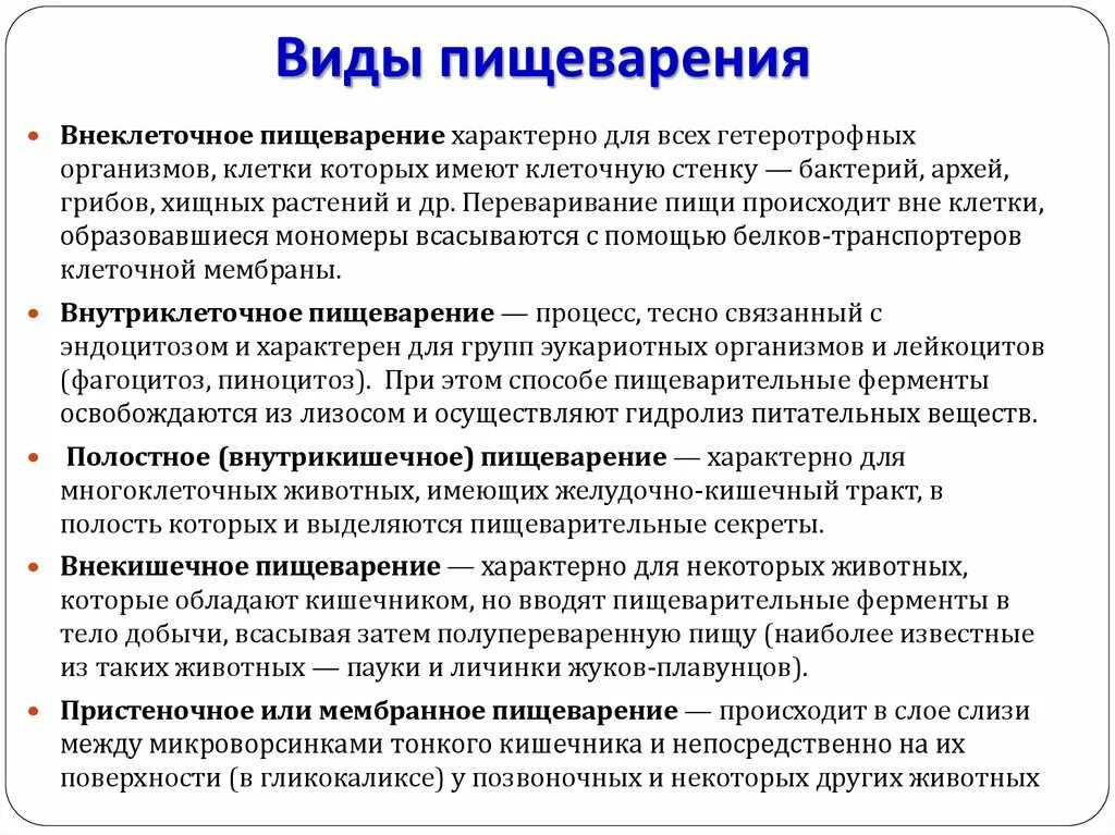 Типы и формы пищеварения. Типы пищеварительных систем. Основные типы пищеварения. Физиология. Пищеварение человека. • Понятие, типы.. Пищеварительная система характеристика кратко