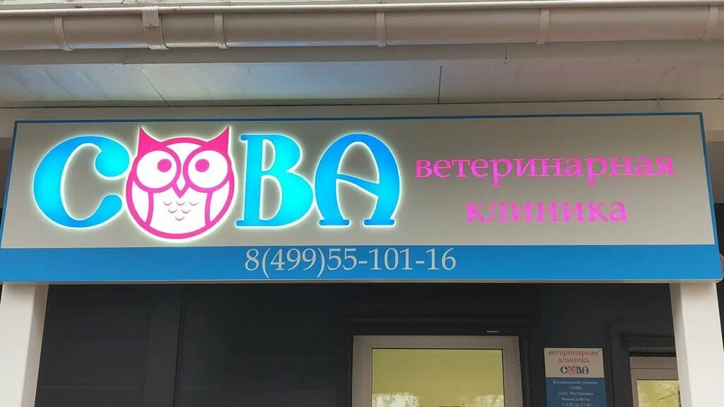 электросталь ветеринарная клиника городская. рекламный баннер ветклиники. ковчег ветеринарная клиника ярославль калинина 17. телефон ветклиники на ленина. ветдоктор ухта ленина.