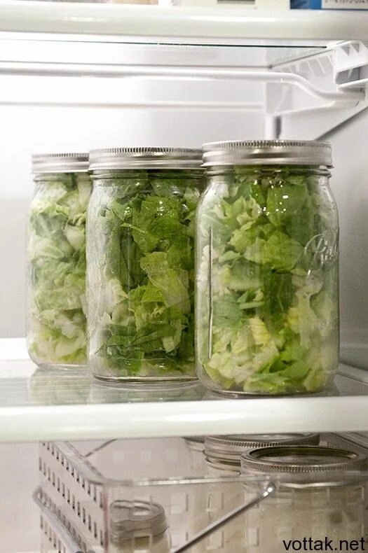 Сколько хранить салат в холодильнике. Хранение зелени в холодильнике. Зелень в банке. Хранение зелени в банке. Холодильник для зелени.