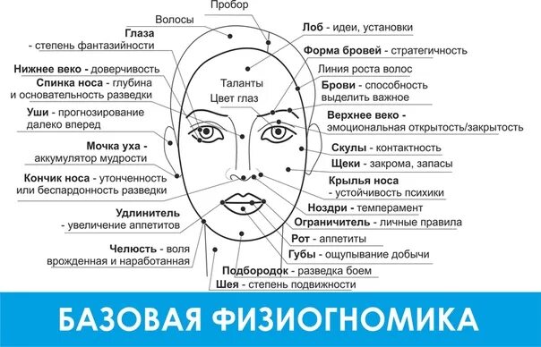 Родинка под правым глазом значение. Физиогномика родинки на лице. обозначение родинок на лице. физиогномика родинки на лице у женщин. что означает родинки на лецу.