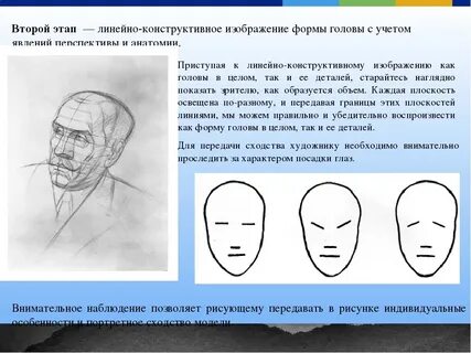 Описание головы