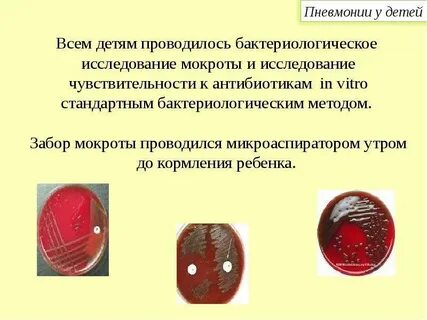 Бактериологическое исследование мокроты