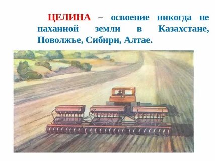 Целина это в истории