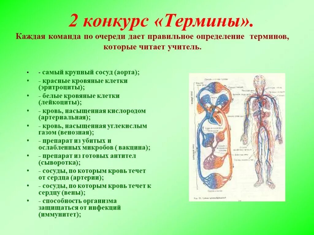 У человека насыщенная кислородом артериальная кровь течет по сосудам. Сосуды крови насыженную кислородом. Кровь насыщенная кислородом сосуд. По какому сосуду течёт кровь насыщенная кислородом. От легких по сосудам течет кровь насыщенная