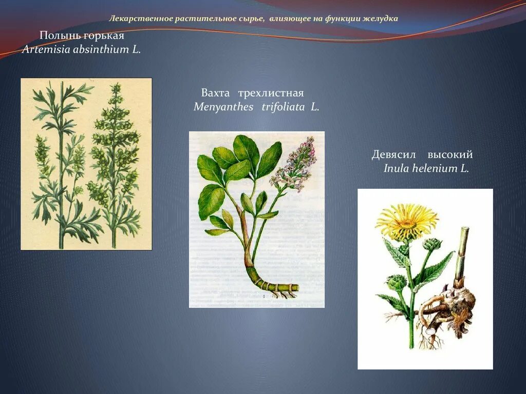 Сушеные травы. Лекарственные растения. Пассифлоры трава лрс. Лекарственные растения обладают. Трава мелиссы лрс.