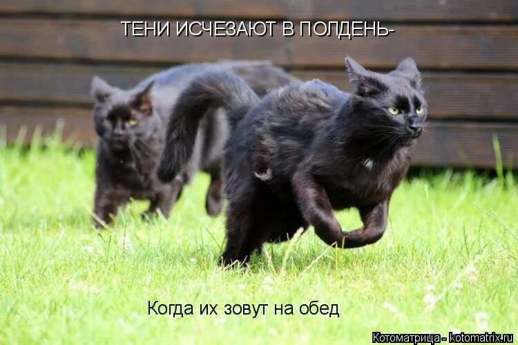Не знаю как их зовут. Не знаю как их зовут