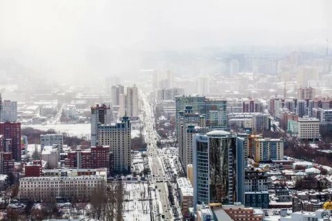 Курировать город