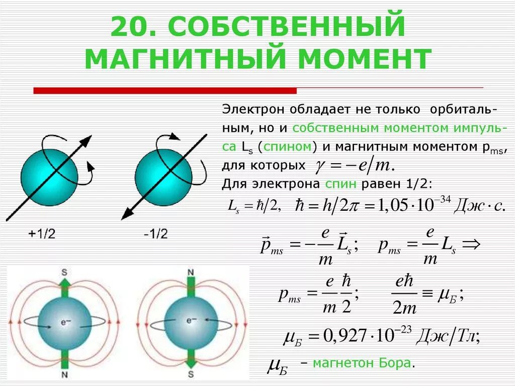 Магнитным моментом обладает