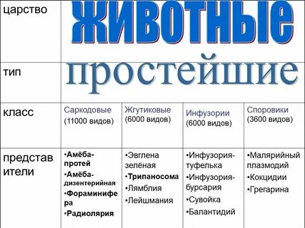 Сравнительная характеристика групп простейших таблица