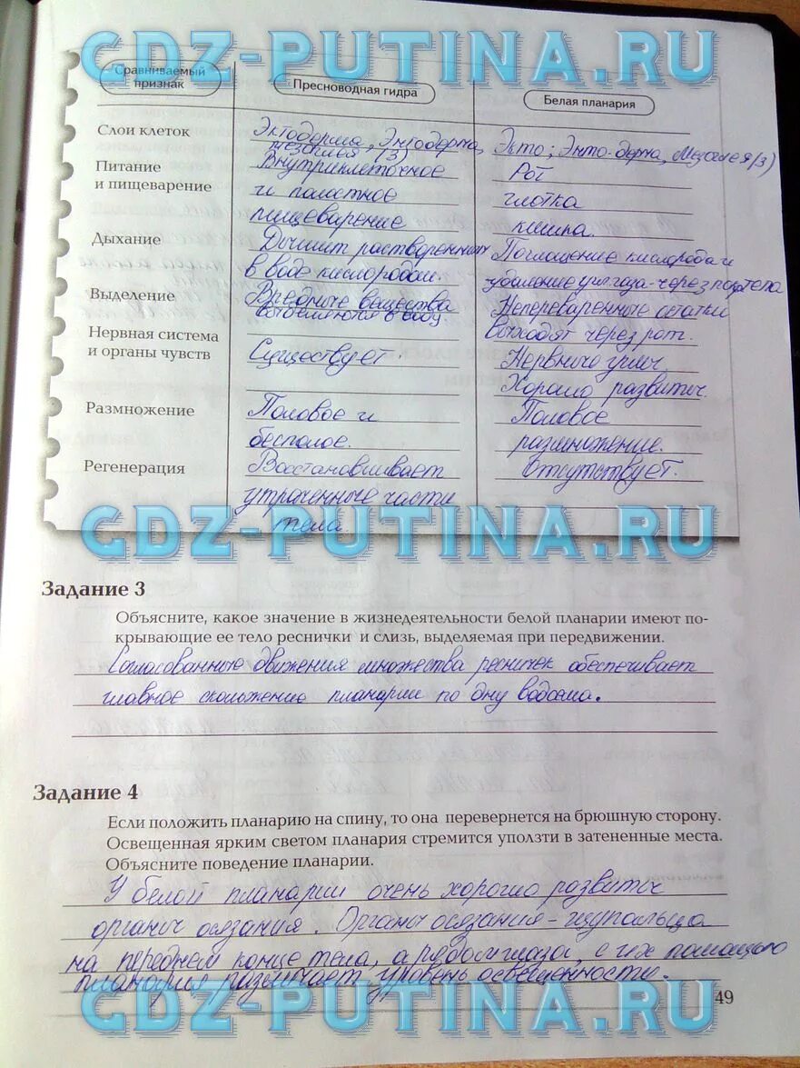 Биология 7 класс суматохин кучменко. Биология 7 класс рабочая тетрадь суматохин. гдз биология 7 класс рабочая тетрадь суматохин. гдз по биологии 7 класс рабочая тетрадь суматохин кучменко 2 часть. гдз по рабочей тетради по биологии 7 класс суматохин.