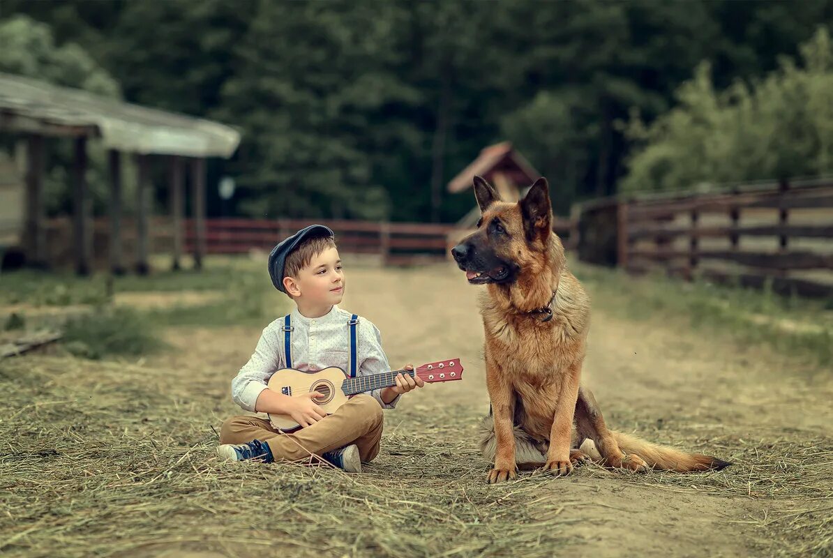 благодарность слушателям презентация. кот боб и джеймс боуэн. благодарность слушателям. признательные слушатели. картина благодарный слушатель.