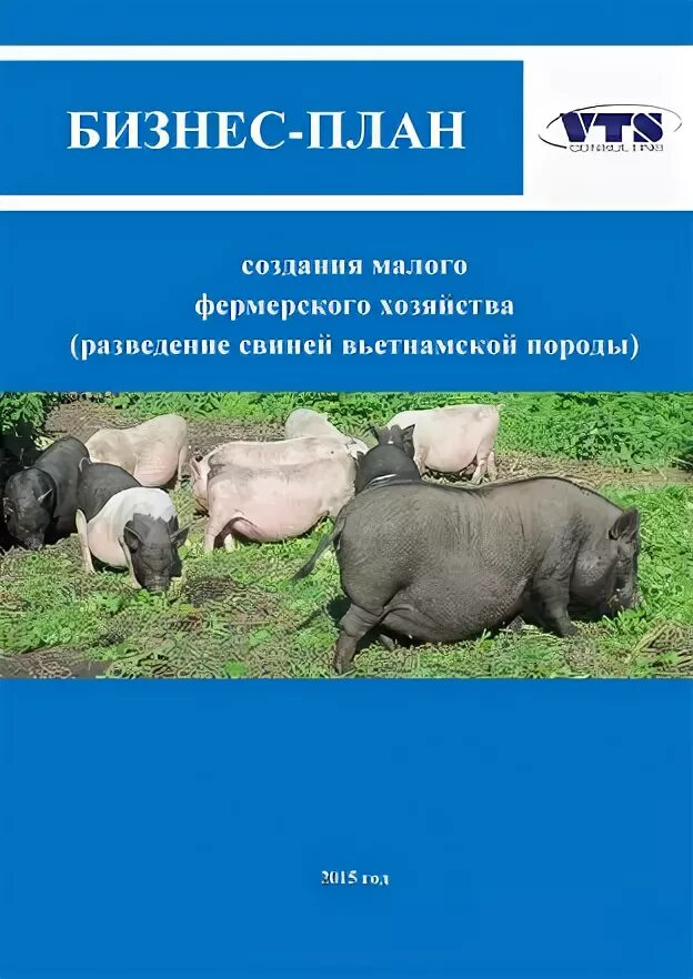 Бизнес план по выращиванию индейки. Бизнес план на теплицу для соц контракта. План выращивания шампиньонов. Микрозелень схема выращивания. Теплица бизнес план.
