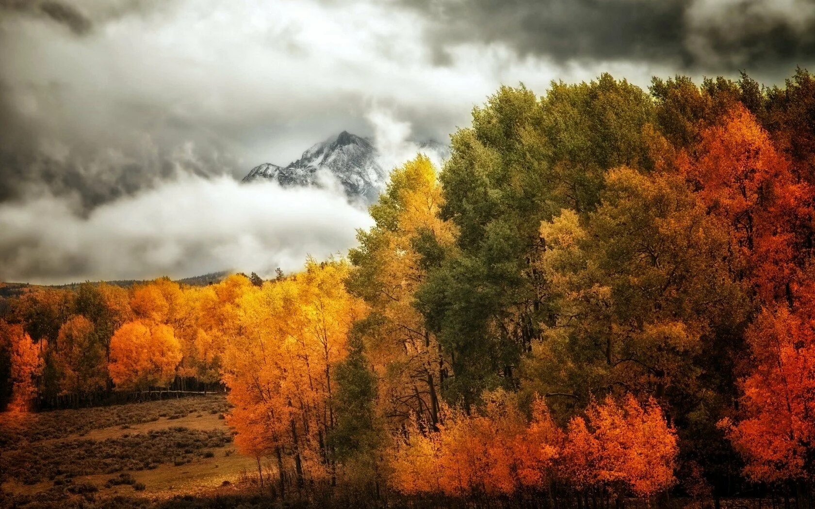 Natural fall. Осень в лесу. Осенний пейзаж. Осенний лес. Хмурая осень.