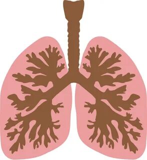 Lungs clipart surrealism, Lungs surrealism Transparent FREE 