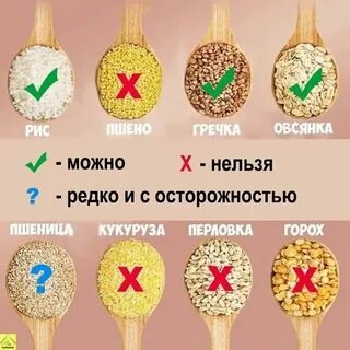 Какие каши можно собакам крупных пород